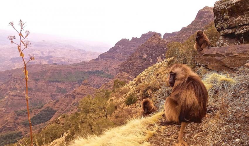 Yangudi-Rassa National Park