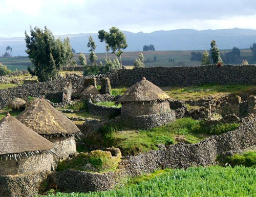 Full Day Ankober Tour