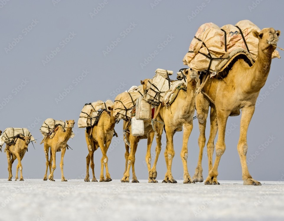 AFAR TRIANGLE & DANAKIL DIPRESSION