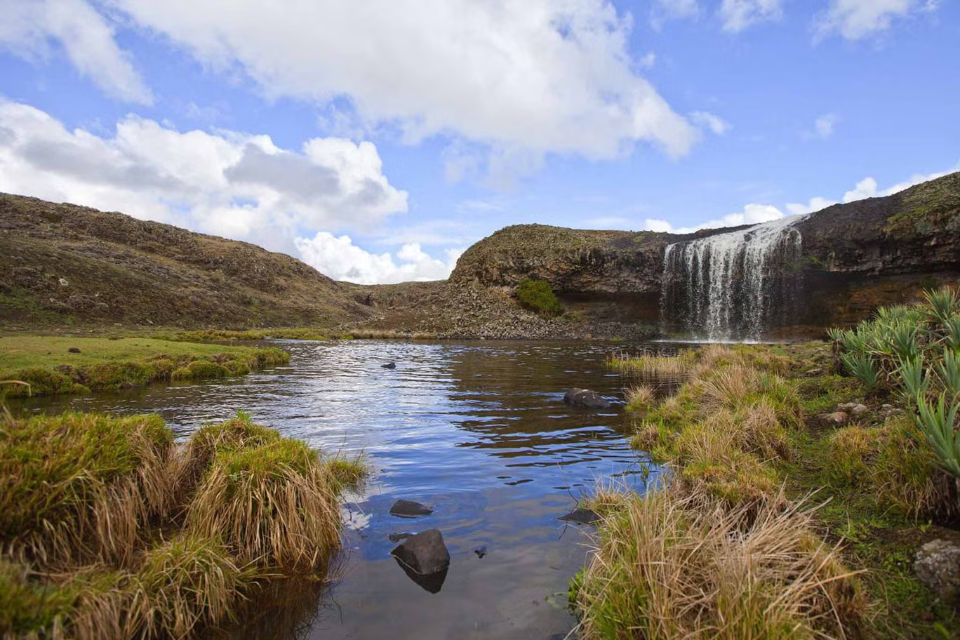 BALE MOUNTAINS